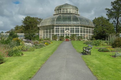 Botanic Gardens Glasshouse by Sylvia Hick