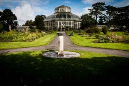 Great Palm House by Pat Divilly