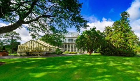 View from the Lawn of Glasshouse by Peter Brennan