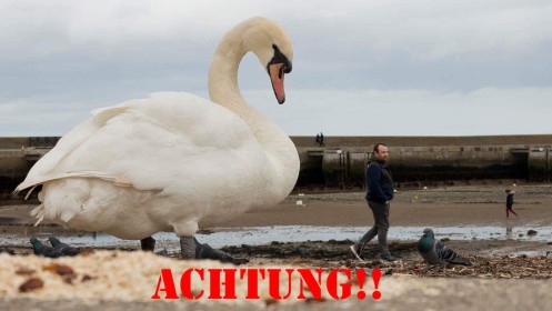 Achtung by Noreen Casey