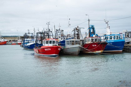 The fishing fleet at Skerries by Sylvia Hick
