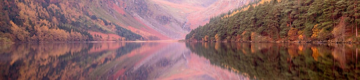 Highly Commended: 40 shades of Autumn in Glendalough by Olive Gaughan
