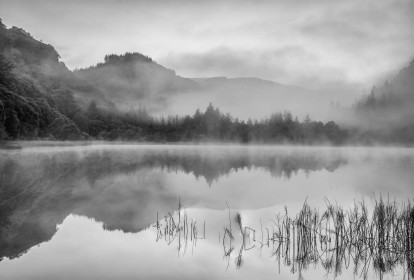 3rd: Mist by Liam Slattery