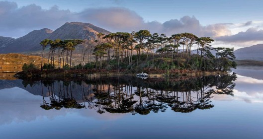Highly Commended: Derryclare by Colin Ball