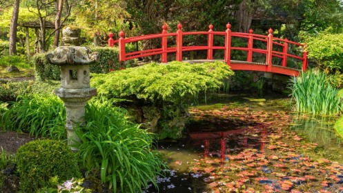 Bridge of life, Japanese Gardens by Enda Magee