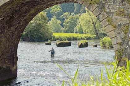 Fishing under the bridge, Inistioge by Pat Divilly