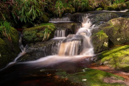 Glencree Waterfall by Sarah Hanley