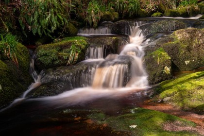Highly Commended: Glencree Waterfall by Sarah Hanley