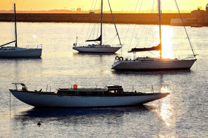 Boats in Dun Laoghaire by Pat Divilly