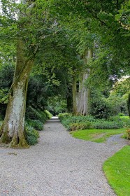 Altamount Gardens Leading Path by Pat Divilly