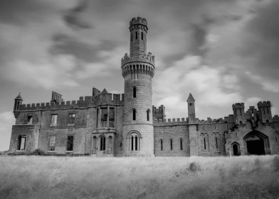 Ducketts Grove by Ger Halpin