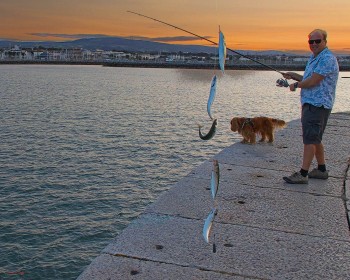 West Pier Pretty Good Catch by Pat Divilly