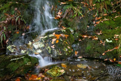 Glendalough Stream by Enda Magee