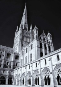 Norwich Cathedral by Nigel Leyland