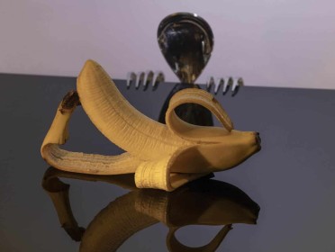Highly Commended: Banana for Dessert by Gerry Moloney