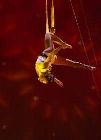 Hold On by Catherine Foley