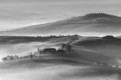 Misty Morning by Anne-Marie Fitzpatrick