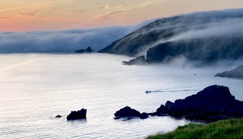 Evening Fog by Noel McMahon