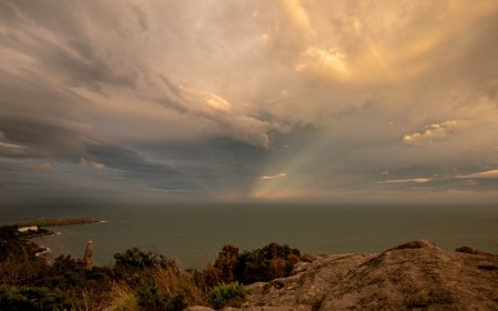 Evening Sunburst by Mary Mcloughlin