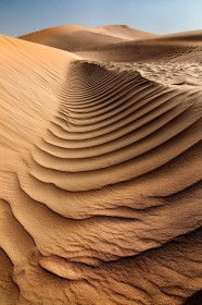 The Empty Quarter by John O'Connor
