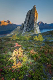 Autumn Segla by Stephen Smith