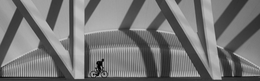 Welcome Shade by Mary McLoughlin