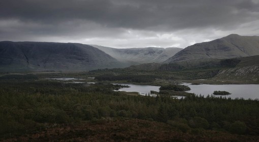 Dusk by Michael McNamara