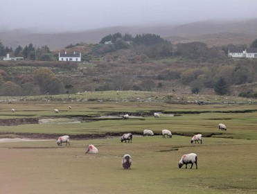 Mulranny Mayo by Ian Gemmell