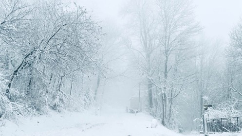 Snow by Ken McFarland