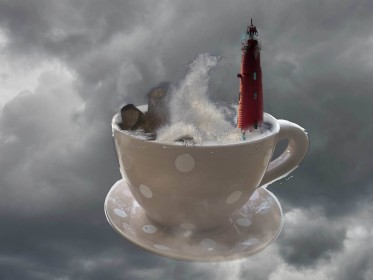 Storm in a Teacup by Pat Divilly