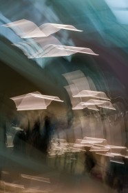 Wow by Frazer Meredith