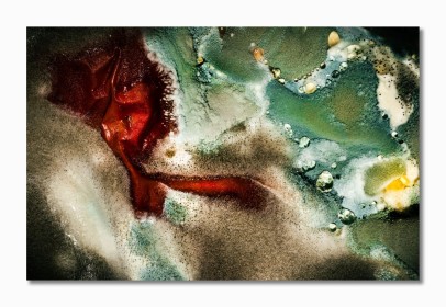 Life by Paul O'Callaghan