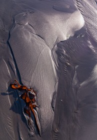Shadows on the sand by Mary Mcloughlin