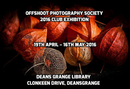 Club Event – Offshoot Annual Exhibition 2016 (19 April – 16 May)