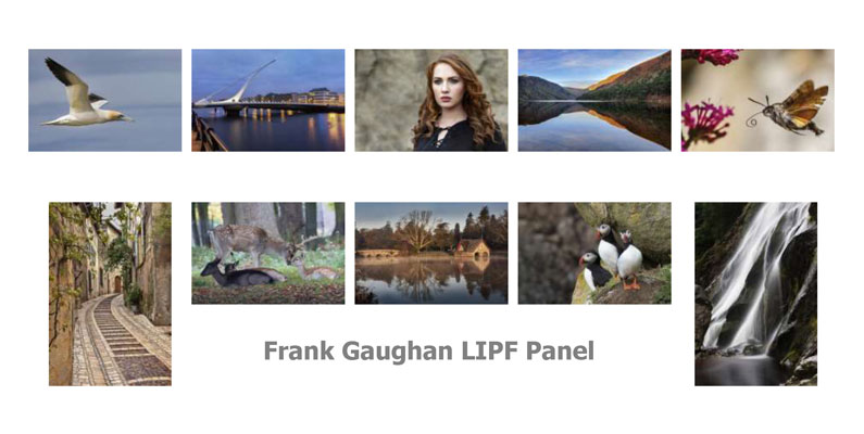 Frank Gaughan LIPF