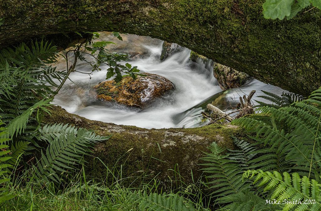 Club Outing – Glendalough
