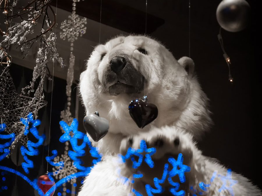 Club Outing – Dun Laoghaire Christmas Lights
