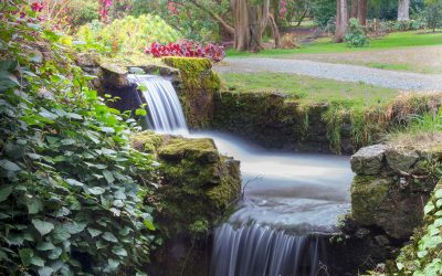 SWM May 2018 – Kilmacurragh National Gardens, County Wicklow