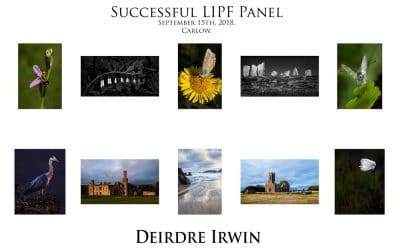 Deirdre Irwin – LIPF