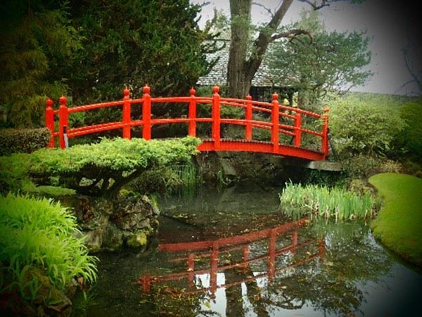 Club Outing – Japanese Gardens and Irish National Stud