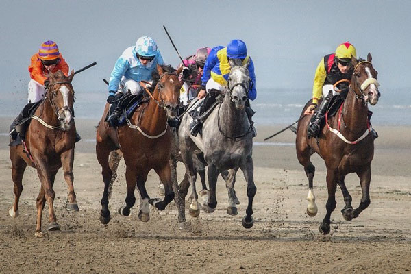 Club Outing – Laytown Races