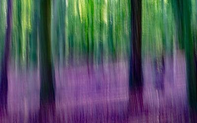 SWM December 2018 – Intentional Camera Movement