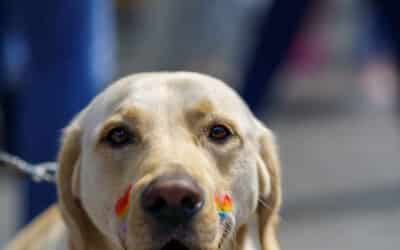 Club Outing – Dublin Pride 2022