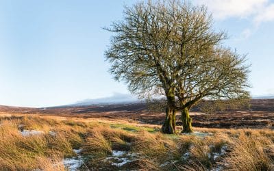 Club Outing – Sally Gap Sunset