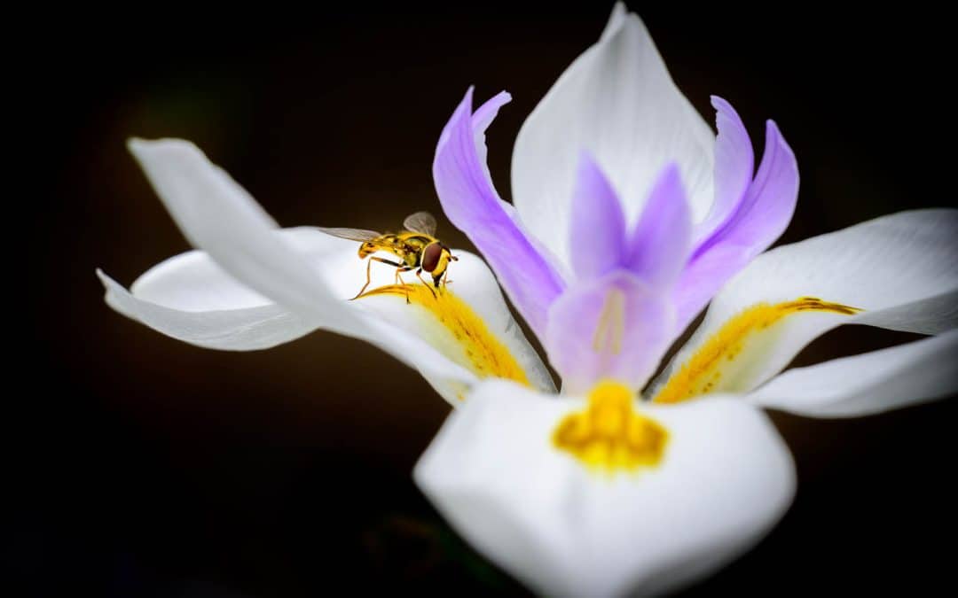 Club Outing – Glasnevin Botanic Gardens