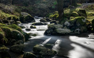 Club Outing – Glendalough & Miners Village
