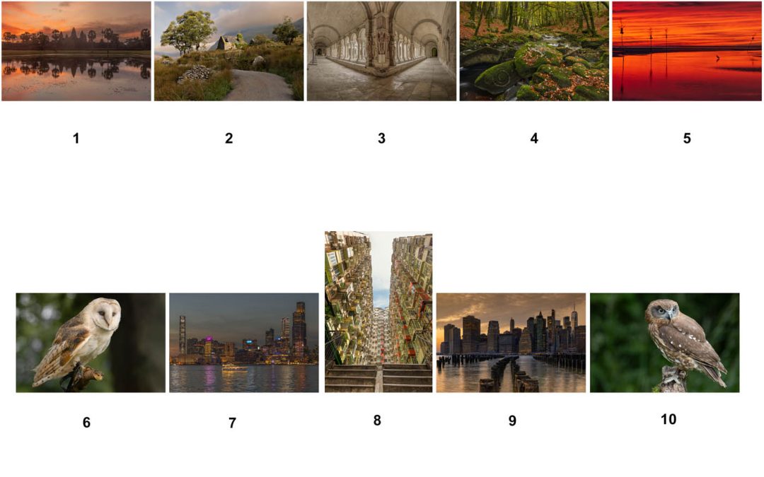 Gerry Moloney – LIPF