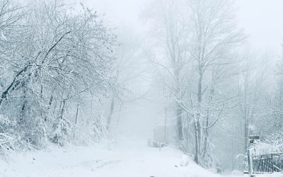 Club Competition – Smartphone Open (Projected)