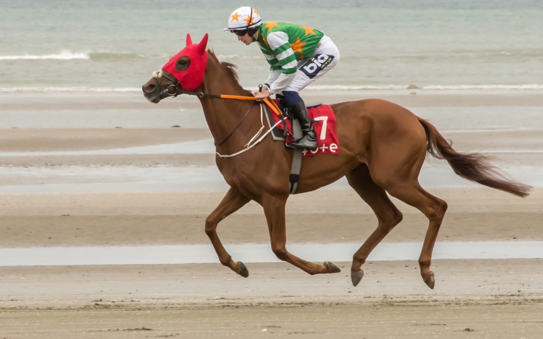 Club Outing – Laytown Races