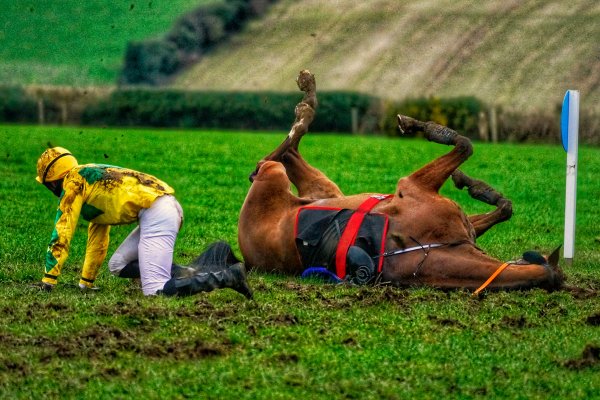 Club Outing - Tinahely Point to Point